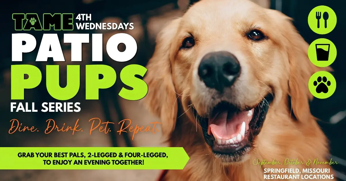 TAME Patio Pups Fall Series flyer with a smiling golden retriever; 4th Wednesday evenings at Springfield, MO restaurants