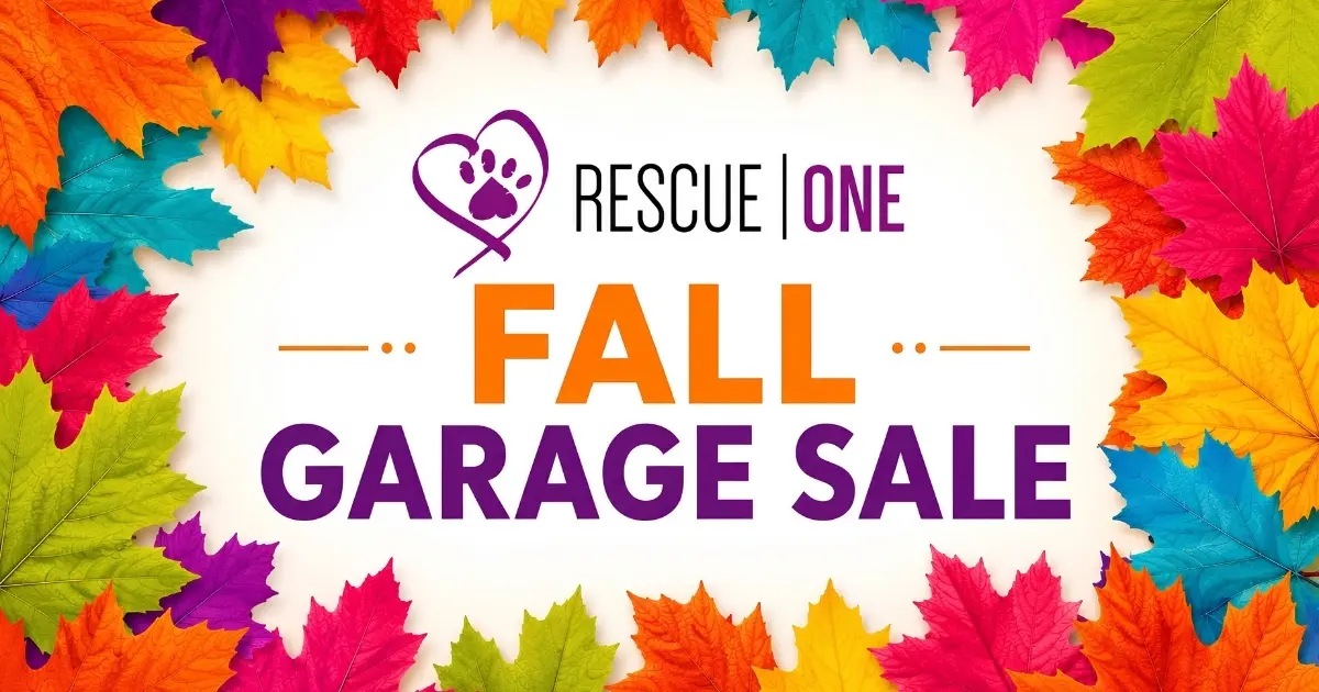 Rescue One Fall Garage Sale graphic with a heart-and-paw logo framed by autumn leaves
