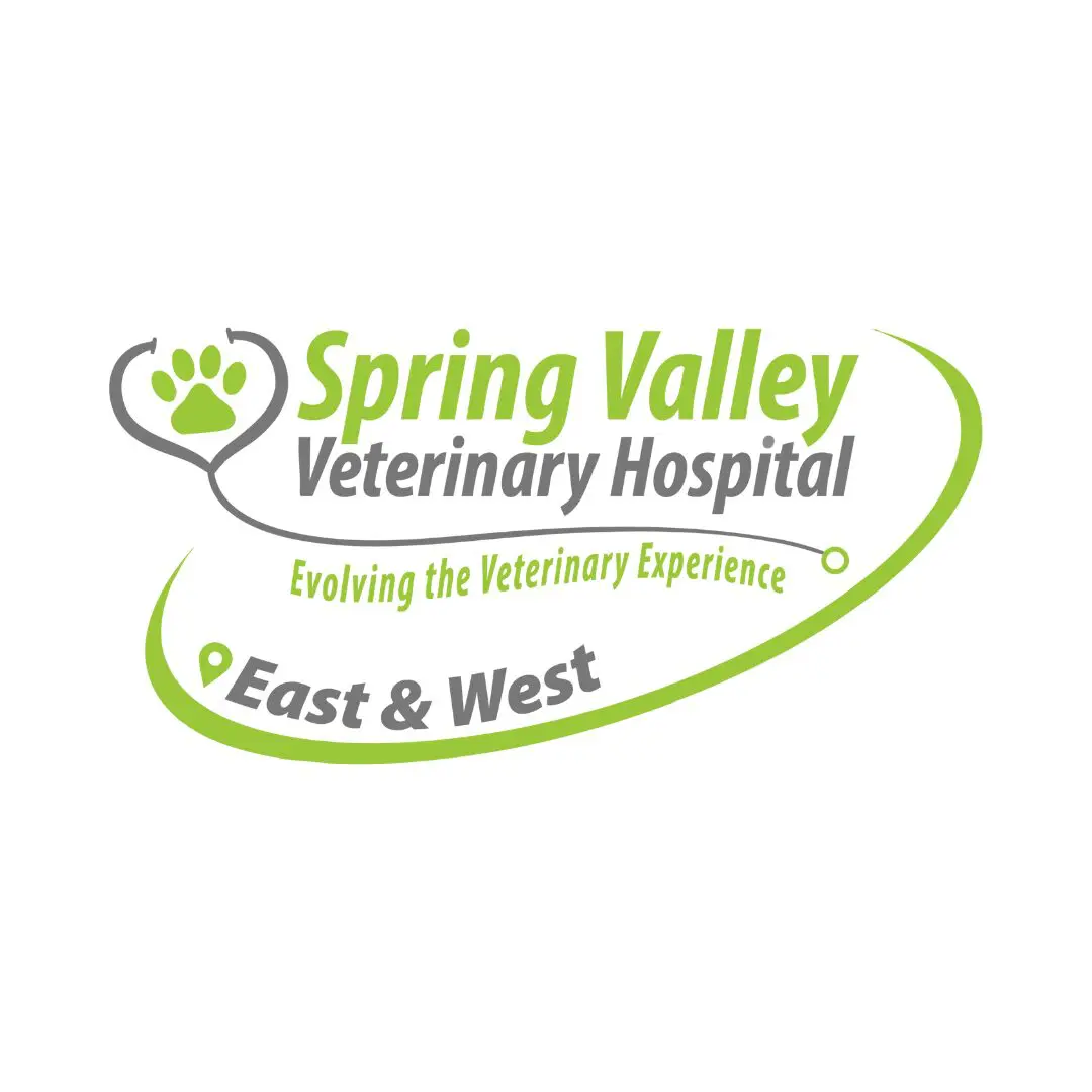 Spring Valley Veterinary Hospital logo with a stethoscope heart and paw print