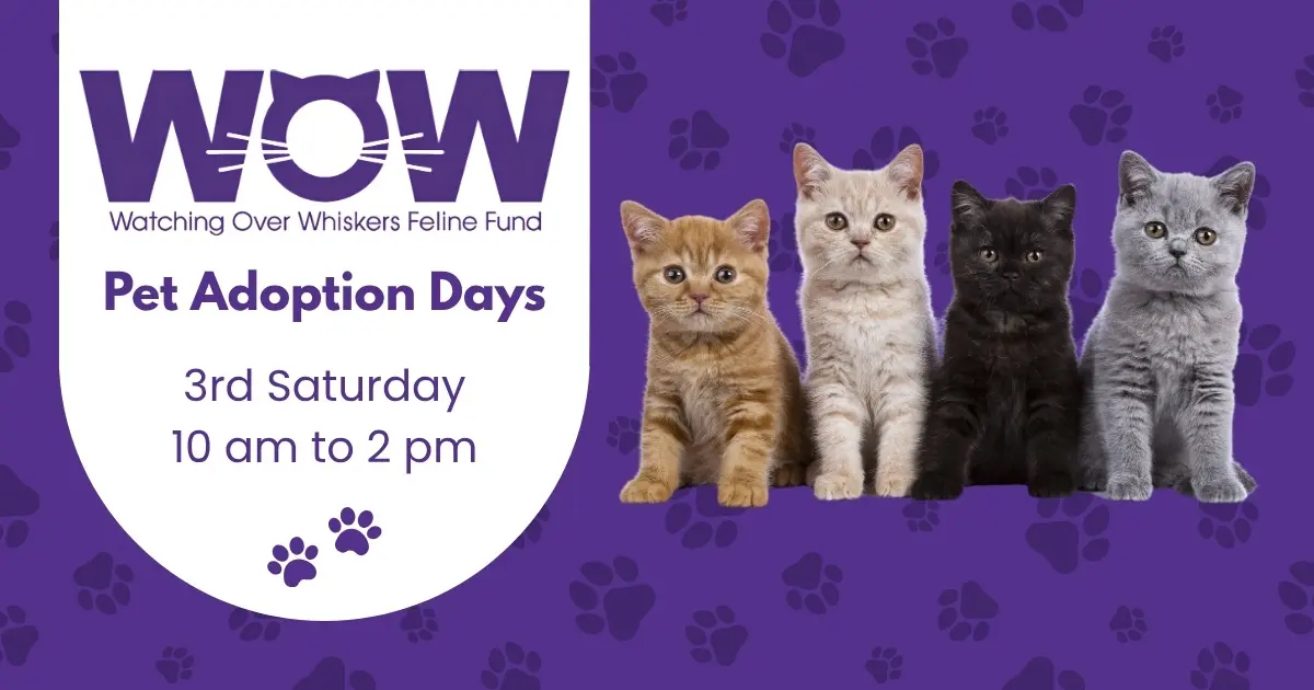 watching-over-whiskers-pet-adoption-days-springfield-mo.jpg